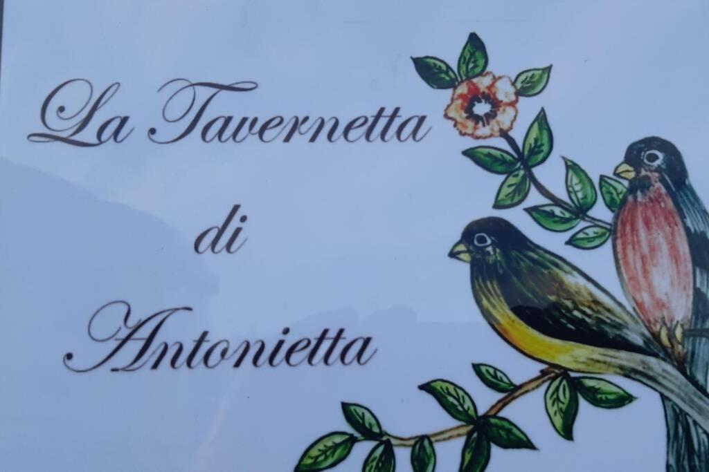 La Tavernetta Di Antonietta 빌라프랑카 디 베로나 외부 사진